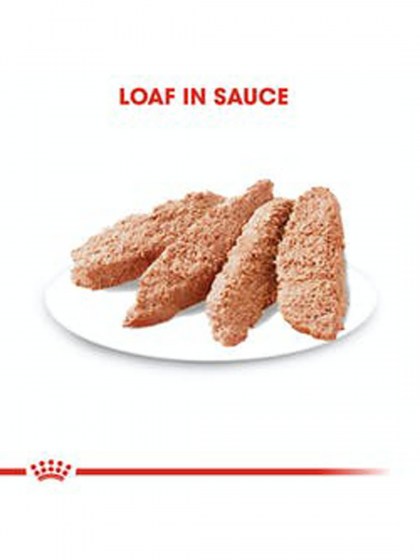 CCN DIGESTIVE CARE 12X85G_web3